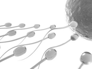 Busted: Top Myths Related to Male Fertility