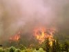 Σε εξέλιξη πυρκαγιά στην περιοχή Τζάνες Μεσσηνίας