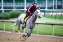 Lani trains on the track for the Kentucky Derby at Churchill Downs on May 5, 2016 in Louisville