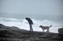 A man walks a dog as a storm brings heavy winds to Saint-Guenole, western France, on December 23, 2013