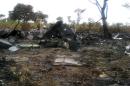 A handout picture released by the Namibian police shows the burnt wreckage of a Mozambican Airlines plane at the site of its crash in Namibia's Bwabwata National Park on November 30, 2013