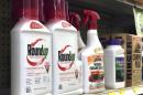 Containers of Roundup, left, a weed killer is seen on a shelf with other products for sale at a hardware store in Los Angeles on Thursday, Jan. 26, 2017. A battle over the main ingredient in Roundup, the popular weed killer sprayed by farmers and home gardeners worldwide, is coming to a head in California, where officials want to be the first to label the chemical, glyphosate, with warnings that it could cause cancer. Chemical giant Monsanto has sued the nation's leading agricultural producer, saying state officials illegally based their decision for warning labels on an international health organization. (AP Photo/Reed Saxon)