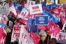 Opponents to gay marriage, adoption and procreation assistance wave flags and shout slogans during a demonstration in Marseille