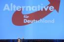 Frauke Petry, chairwoman of eurosceptic German party AfD delivers her speech during a party meeting in Bremen