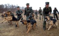 This photo, taken on April 6, 2013 by North Korea's official Korean Central News Agency (KCNA), shows N.Korean soldiers taking part in a training exercise with military dogs at an undisclosed location. N.Korea appears to be preparing for a fourth nuclear test, S.Korea said on Monday, following intelligence reports of heightened activity at its main atomic test site