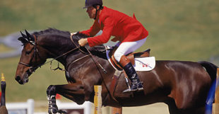 10 Juegos Olímpicos sobre un caballo Horselolololo