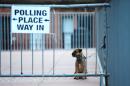 A dog is pictured outside a polling station in Glasgow, Scotland, on May 7, 2015, as Britain holds a general election