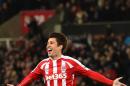 Stoke City'sstriker Bojan Krkic, pictured on December 6, 2014, held his nerve to convert the early penalty that gave Stoke City a 1-0 win against Swansea City