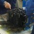 Handout photo of the burnt auxiliary power unit battery, removed from an All Nippon Airways' Boeing Co 787 Dreamliner plane which made an emergency landing, being inspected at GS Yuasa Corp in Kyoto