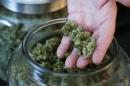 Legal marijuana is now a billion-dollar industry in Colorado