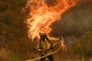 A fire fighter battles the so-called Sand Fire in the Angeles National Forest near Los Angeles, California