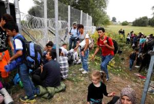 Migrants wait to enter Hungary near the village of Horgos