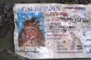 A California driver's license bearing the name of Jenni Rivera sits on the ground at the site where a plane allegedly carrying Rivera crashed near Iturbide, Mexico Sunday Dec. 9, 2012. The wreckage of a the small plane believed to be carrying Jenni Rivera, the U.S-born singer whose soulful voice and unfettered discussion of a series of personal travails made her a Mexican-American superstar, was found in northern Mexico on Sunday. Authorities said there were no survivors. (AP Photo)