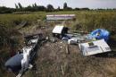 Pieces of the wreckage are seen at a crash site of the Malaysia Airlines Flight MH17 near the village of Petropavlivka (Petropavlovka), Donetsk region