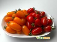 每天一把小番茄　保健防癌真健康