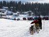 Mitch Seavey leaves White Mountain in Alaska, Tuesday, March 12, 2013, during the Iditarod Trail Sled Dog Race. (AP Photo/The Anchorage Daily News, Bill Roth)  LOCAL TV OUT (KTUU-TV, KTVA-TV) LOCAL PRINT OUT (THE ANCHORAGE PRESS, THE ALASKA DISPATCH)