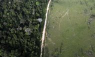 Vista aérea de uma área desmatada ilegalmente próximo ao Parque Nacional da Amazônia em Itaituba, no Estado do Pará, em maio. 25/05/2012 REUTERS/Nacho Doce