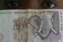A BANK TELLER LOOKS AT 50 AND 100 SOUTH AFRICAN RAND NOTES.