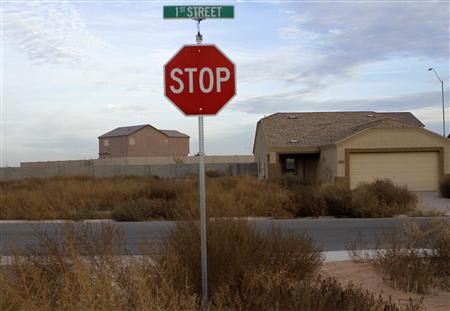 Newly constructed homes in an unfinished subdivision is surrounded by weeds in Coolidge, Arizona December 6, 2010. REUTERS/Joshua Lott