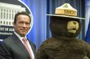 FILE - This Oct. 30, 2013 file photo shows former California Governor Arnold Schwarzenegger posing with Smokey Bear after the U.S. Forest Service named him their third honorary Forest Ranger for his leadership on climate change during a ceremony at the Department of Agriculture.in Washington. Smokey Bear is turning 70 on Saturday Aug. 9, 2014 _ but don't bring any candles to the party, please. As the friendly, huggable bear with the brimmed hat and shovel enters his golden years, he's burning up Twitter, but his message of fire prevention through personal responsibility hasn't changed _ much. (AP Photo/Cliff Owen, file)