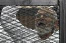 Muslim Brotherhood leader Mohammed Badie shouts slogans from the defendant's cage during his trial with other leaders of the Brotherhood in a courtroom in Cairo