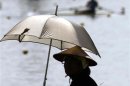A spectator watching the World Rowing Championships holds an umbrella in Gifu, Japan.