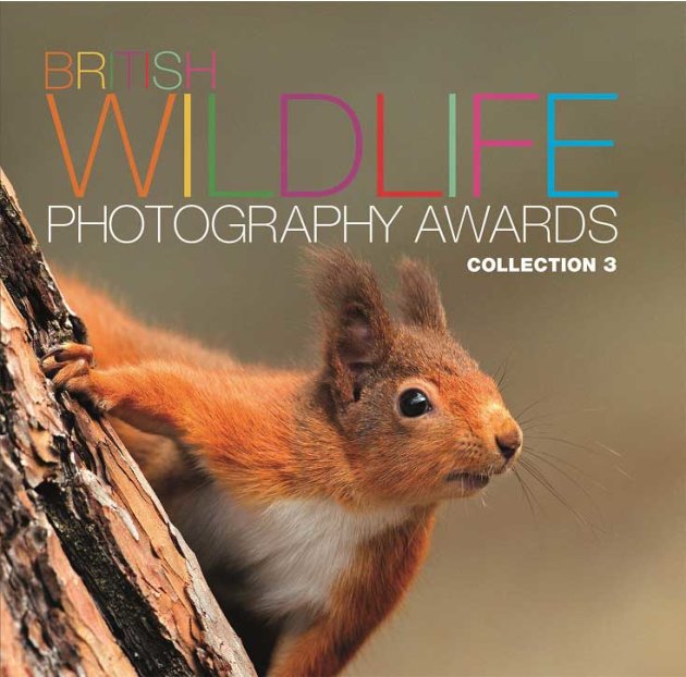 Miss Huma: Re: ZUBIA : [Have-A-Heart] British Wildlife Photography