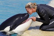 Animal caretaker Amy Walton kisses Moana, a 16-month-old killer whale, in Marineland aquatic park in Antibes July 31, 2012.  Watson is the sole trainer of Moana, a male which measures 3m50 and weighs some 800 kg, which was born at the park in March 2011.   REUTERS/Eric Gaillard (FRANCE - Tags: ANIMALS ENVIRONMENT)
