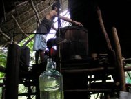 菲古法釀造 水椰子酒世代飄香