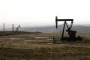 A picture taken on November 25, 2013 shows oil rigs in the Kurdish town of Derik on the border with Turkey and Iraq