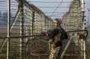 Indian BSF soldier patrols near fenced border with Pakistan in Suchetgarh