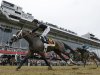 Oxbow, ridden by jockey Gary Stevens, wins the 138th Preakness Stakes horse race at Pimlico Race Course, Saturday, May 18, 2013, in Baltimore. (AP Photo/Matt Slocum)