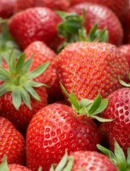 Strawberries can help protect against ulcers, scientists say