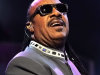 Stevie Wonder Cancels Performance for Israel Defense Forces Fundraiser