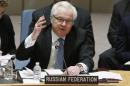 Russian Ambassador to the U.N. Churkin addresses members of the U.N. Security Council during a meeting about the Ukraine situation, at U.N. headquarters in New York