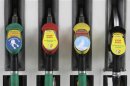 Greenpeace environmental stickers are seen on gas pumps at a Shell gas station in Prague