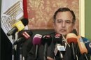 Egypt's new Foreign Minister Fahmy speaks during a news conference in Cairo