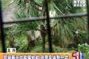 李安「少年PI」場景曝光 木柵動物園取景