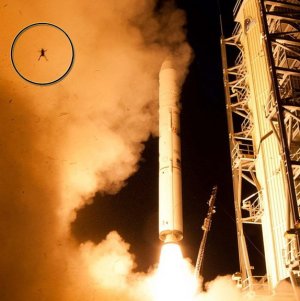 Frog Photobombs NASA Moon Probe Launch (Photo)