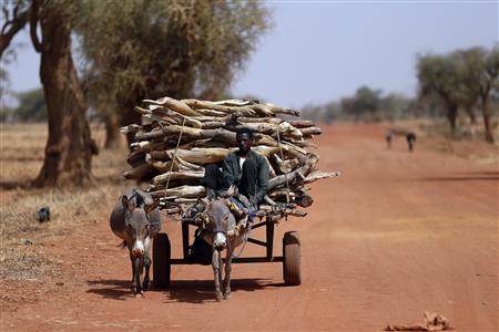 A Malian transports wood with a donkey cart on the road between Timbuktu and Douentza February 4, 2013. Picture taken February 4, 2013 REUTERS/Benoit Tessier