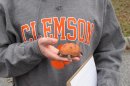 In this Dec. 12, 2012 photo, Clemson University student Nathan Weaver holds a fake turtle he is using in his research to try and save the animals in Clemson, S.C. Weaver is placing the fake turtle in roads near campus and seeing how many drivers intentionally run over it. (AP Photo/Jeffrey Collins)