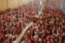 Cage free hens are gathered at an egg farm in San Diego County