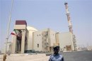A security official stands in front of the Bushehr nuclear reactor