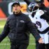 Baltimore Ravens head coach John Harbaugh reacts to a play in the second half of an NFL football game against the Cincinnati Bengals, Sunday, Dec. 30, 2012, in Cincinnati. (AP Photo/Tom Uhlman)