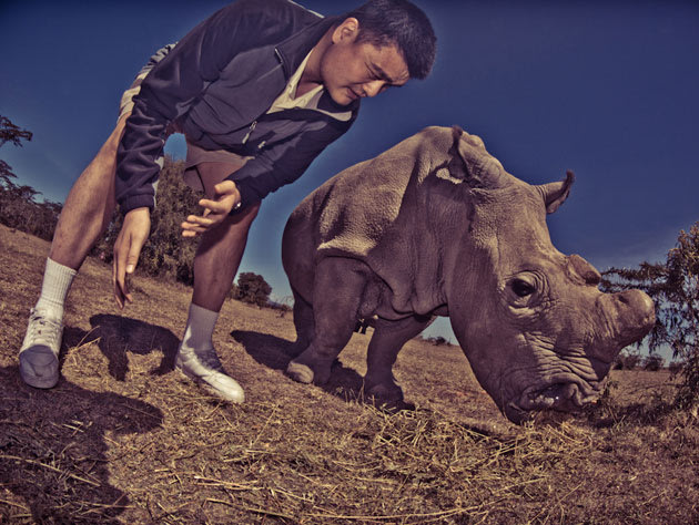 Yao Ming - Taking On Destructive Chinese Consumers Yao-Ming-gets-up-close-and-personal-with-a-rhino.-Photo-by-Kristian-Schmidt-for-WildAid-via-yaomingblog.com_