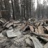 The burned remains of a home destroyed by a Ponderosa fire are seen near Manton, Calif., Monday, Aug. 20, 2012. More than 1,400 fire fighters are battling the fire that has destroyed seven homes, burned 23 square miles. The fire that started Saturday is just 5 percent contained. (AP Photo/Rich Pedroncelli)