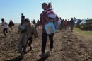 A family walks on a field after a crowd of refugees broke out of at collection point near Roszke village at the Hungarian-Serbian border on September 9, 2015
