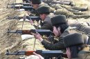 KCNA handout picture shows North Korean soldiers attending military training