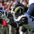 St. Louis Rams running back Steven Jackson (39) dives over the goal to score against the Tampa Bay Buccaneers during the second quarter of an NFL football game on Sunday, Dec. 23, 2012, in Tampa, Fla. (AP Photo/Brian Blanco)