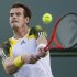 And Murray of Britain returns a shot against Berlocq of Argentina during their match at the BNP Paribas Open ATP tennis tournament in Indian Wells, California